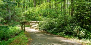 Reserve at Biltmore Park Gallery 19