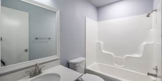 Harmony Heights - New MGMT Gallery 10