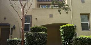 Modern 2 Bedroom Condo in Mission Valley Gallery 1