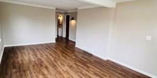 557 WHITE Avenue Gallery 12