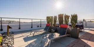 Koi Apartments Gallery 10