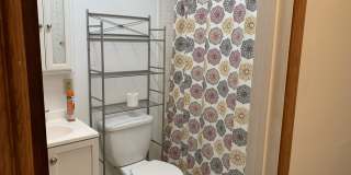 118 Cottage Street#8 Gallery 9