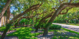 800 Coquina Lane Gallery 31