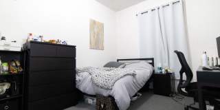 Nice 2 bed in Allston Gallery 5