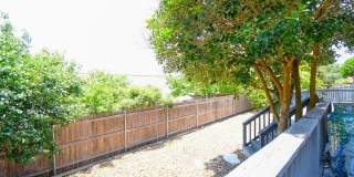 719 Oak Hollow Dr Gallery 34