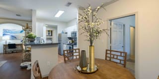 Sonterra Heights Gallery 8