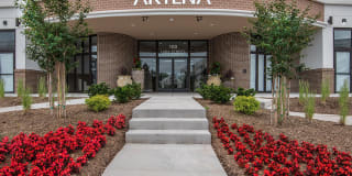 Artena Manassas Gallery 11