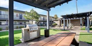 Tierra Palms Gallery 64