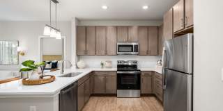 The Canopy Gallery 8