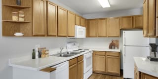 Medicine Lake Apartments Gallery 1