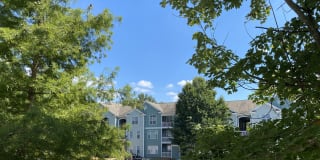 Edgewater Vista Gallery 8