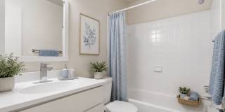 Seven Springs Apartments Gallery 3