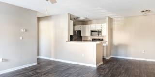 Galleria Park Gallery 21