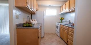 Severn Square Gallery 10