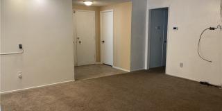 6585 Shannon Gallery 25
