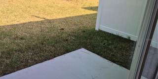 7 RYALL Lane Gallery 18