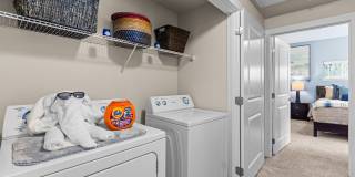 Island View Apartments Gallery 29
