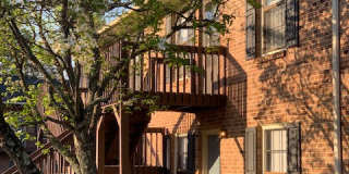 Linville Ridge Apartments Gallery 10