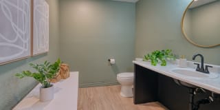 Treehouse Apartments Gallery 34