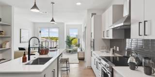 Starlight Gallery 25