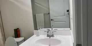 4506 DALE CREEK Way Gallery 6