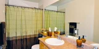 2209 Fossil Creek Parkway Gallery 13