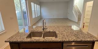 6836 Trellis Vine Loop Gallery 15