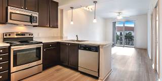 Blu Atlantic Gallery 35