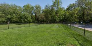 Hampton Manor Gallery 22