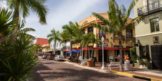 Lexington Palms at the Forum Gallery 43