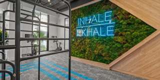 Leksa at Cityplace Gallery 34