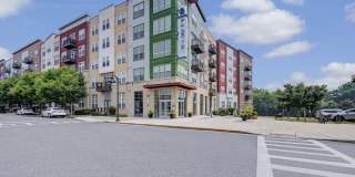 Palette at Arts District Gallery 30