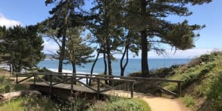 Sharon Green Gallery 22