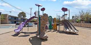 Agave Courtyard Gallery 27