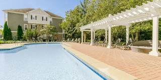 Oakwood Vista Gallery 11