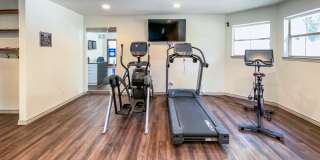 Tenison at White Rock Gallery 18