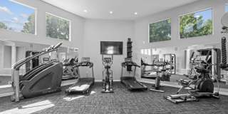 The Arboretum Gallery 16