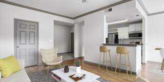 Monroe Place Gallery 14