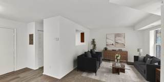 Geno Baroni Gallery 1