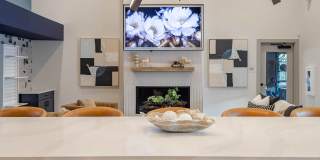 Viridian Apartments Gallery 9