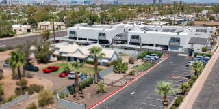 Lion Tempe Gallery 39