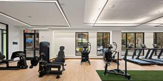 Trella Uptown Gallery 11