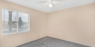 Cozy 2 Bed 1.5 Bathroom in Temple Terrace Gallery 6
