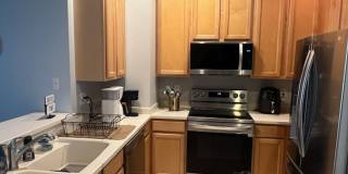 Beautiful Westchase Rental – Prime Location Gallery 17