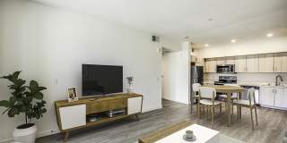 Blossoms at Brentwood Gallery 4