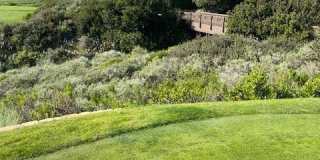 3200 La Rotonda Gallery 31