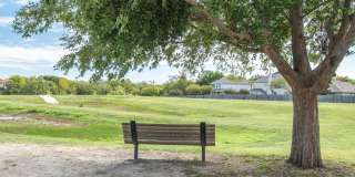 3 Bedroom, 2.5 Bath Home in Round Rock Gallery 1