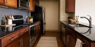 3016 Guadalupe St Apt 203 3016 Guadalupe St Apt 203 Gallery 5