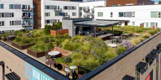 Mason & Main Gallery 62