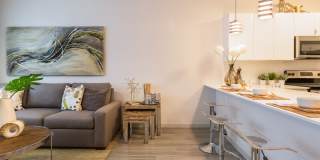 Linear Gallery 18